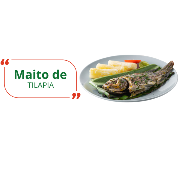 Maito de tilapia